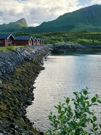 Fjordcamp