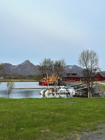 Fjordcamp