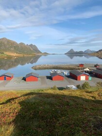 Fjordcamp
