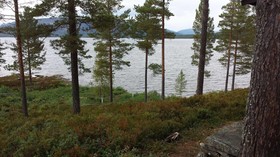 Telemark Camping & Inn - Campground Cabins