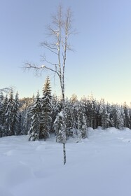 Fresh Familie Hytte Hemsedal
