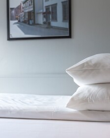 Frøken Skjolds Hotel