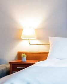 Frøken Skjolds Hotel