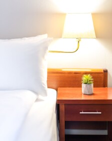 Frøken Skjolds Hotel