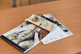 Skaslien