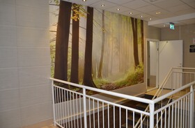 Central City Hostel