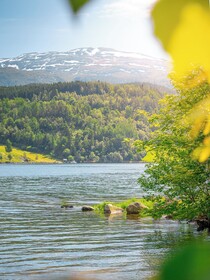 Hardanger Gjestehus