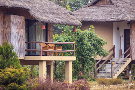 Temple Tiger Green Jungle Resort