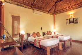 Temple Tiger Green Jungle Resort