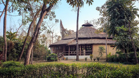Temple Tiger Green Jungle Resort