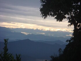 Shiva Guest House