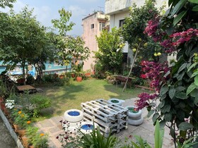 Birds Nest Hostel