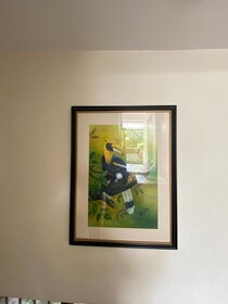Birds Nest Hostel