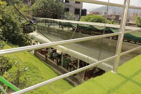 Birds Nest Hostel
