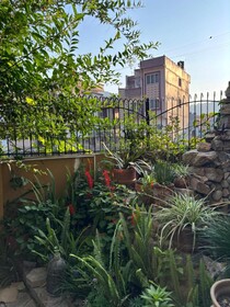 Mums Homestay & Studio Apartments