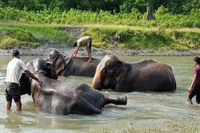 Tiger Tops Tharu Lodge