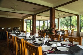 Into The Wild Eco Resort