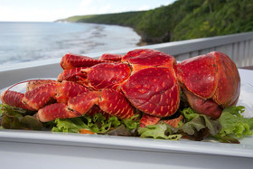 Scenic Matavai Resort Niue