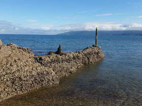 Anglers Lodge