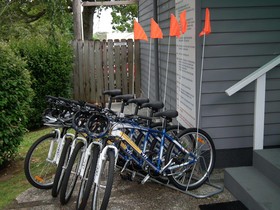 Coromandel TOP 10 Holiday Park