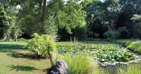 Bushland Park Lodge