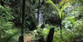 Bushland Park Lodge