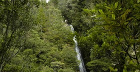 Bushland Park Lodge