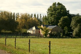 Lexington Park Cottages