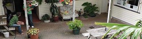 City Garden Lodge