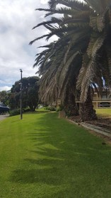 Half Moon Bay Marina Motel