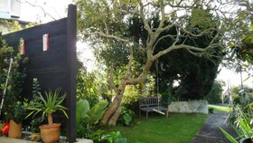 Kiwi Heritage Homestay