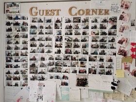 Lush & Co Auckland Bed & Breakfast