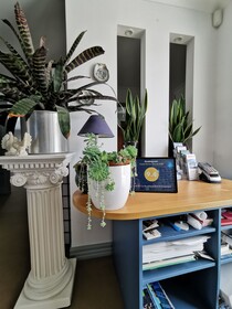 Lush & Co Auckland Bed & Breakfast