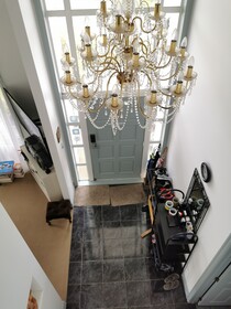 Lush & Co Auckland Bed & Breakfast