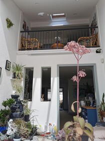 Lush & Co Auckland Bed & Breakfast