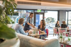 M SOCIAL Auckland