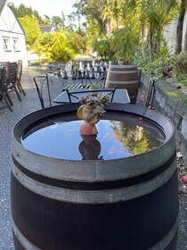 Northridge Country Lodge