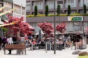 Quest Newmarket