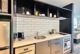 Roomie Apartments