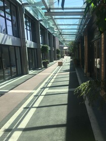 Swiss-Belsuites Victoria Park Auckland