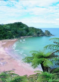 The Lodge at Kauri Cliffs
