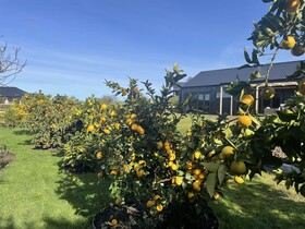 Ballygelvar