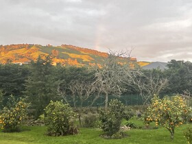 Ballygelvar