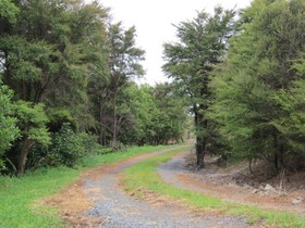 Auckland Country Cottages