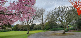 Maxwell's Golf Retreat