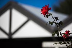 Tudor Park Motel