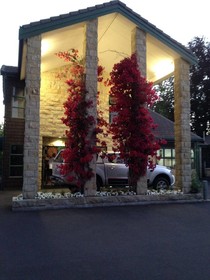 Cambridge Mews