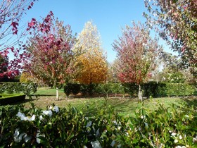 Hadleigh Boutique Lodge