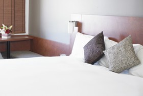 ibis Hamilton Tainui Hotel