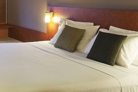 ibis Hamilton Tainui Hotel